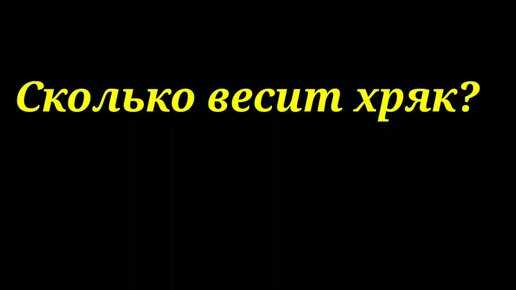 Сколько весит хряк?