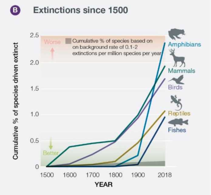 Причины вымирания видов животных