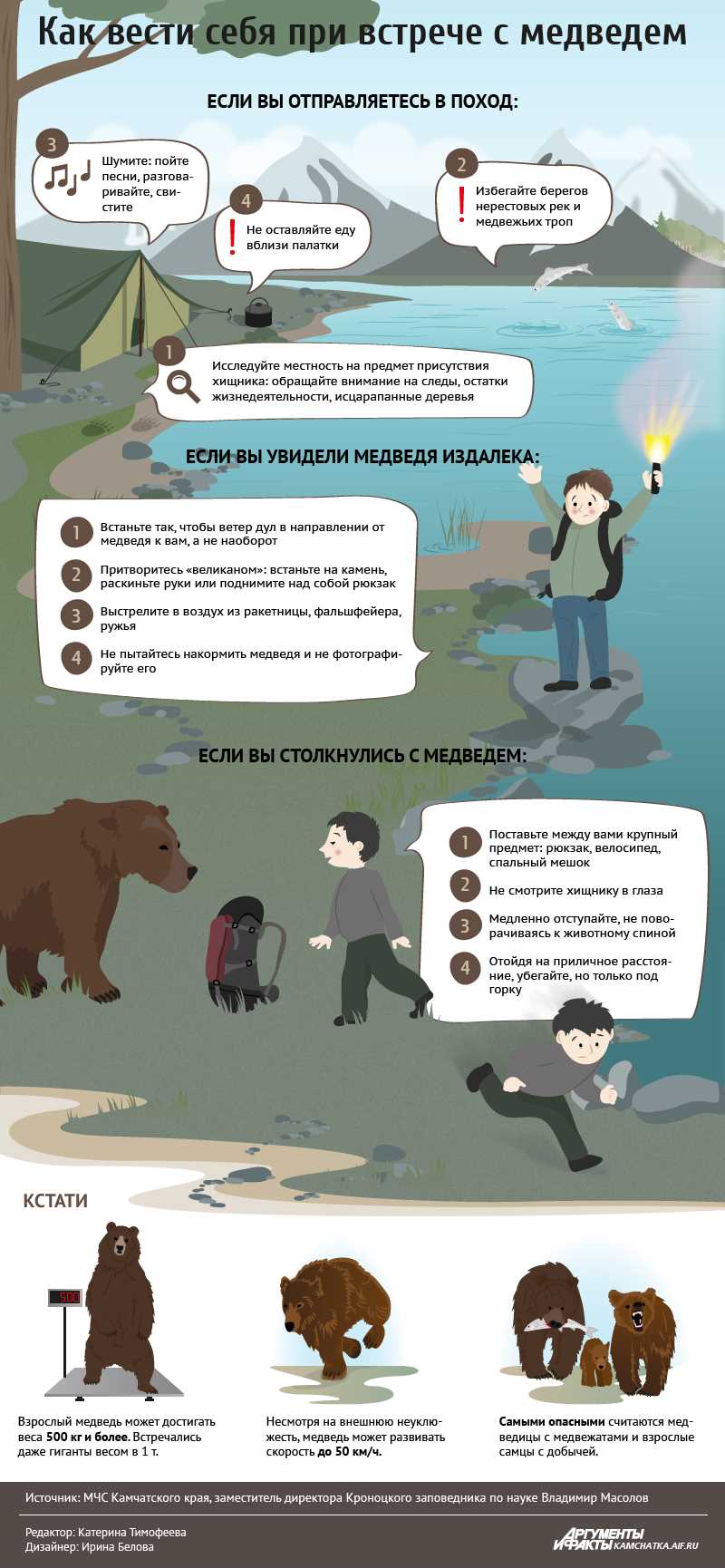 Стоит ли шуметь если встретил медведя?