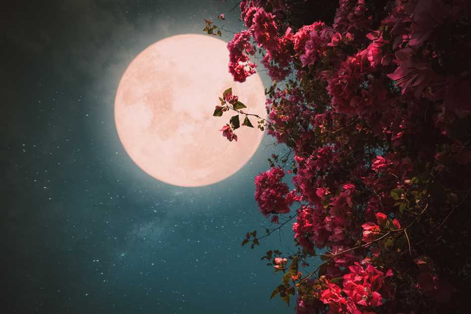 Научное объяснение розовой луны