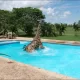 Умеют ли жирафы плавать?