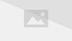 Традиционное представление о силе оборотня