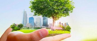 В каких городах хорошая экология: топ-10 экологически чистых населенных пунктов