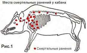 Голова