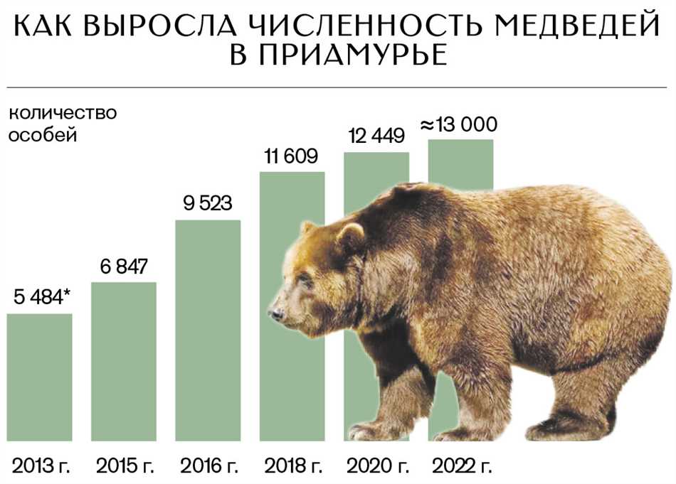 Медведи в Уральском федеральном округе