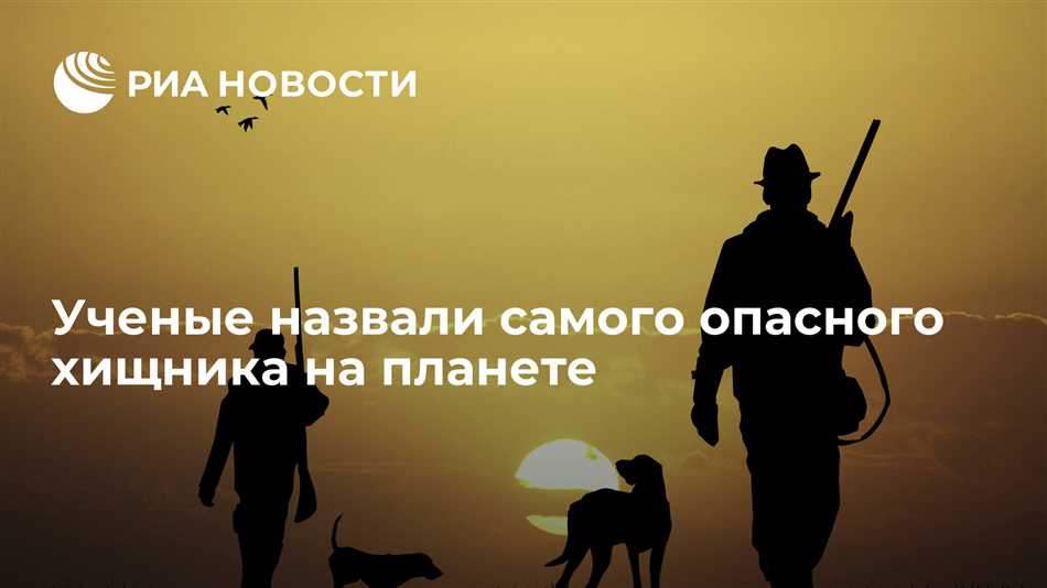 Хищники в пищевой цепи: кто они?