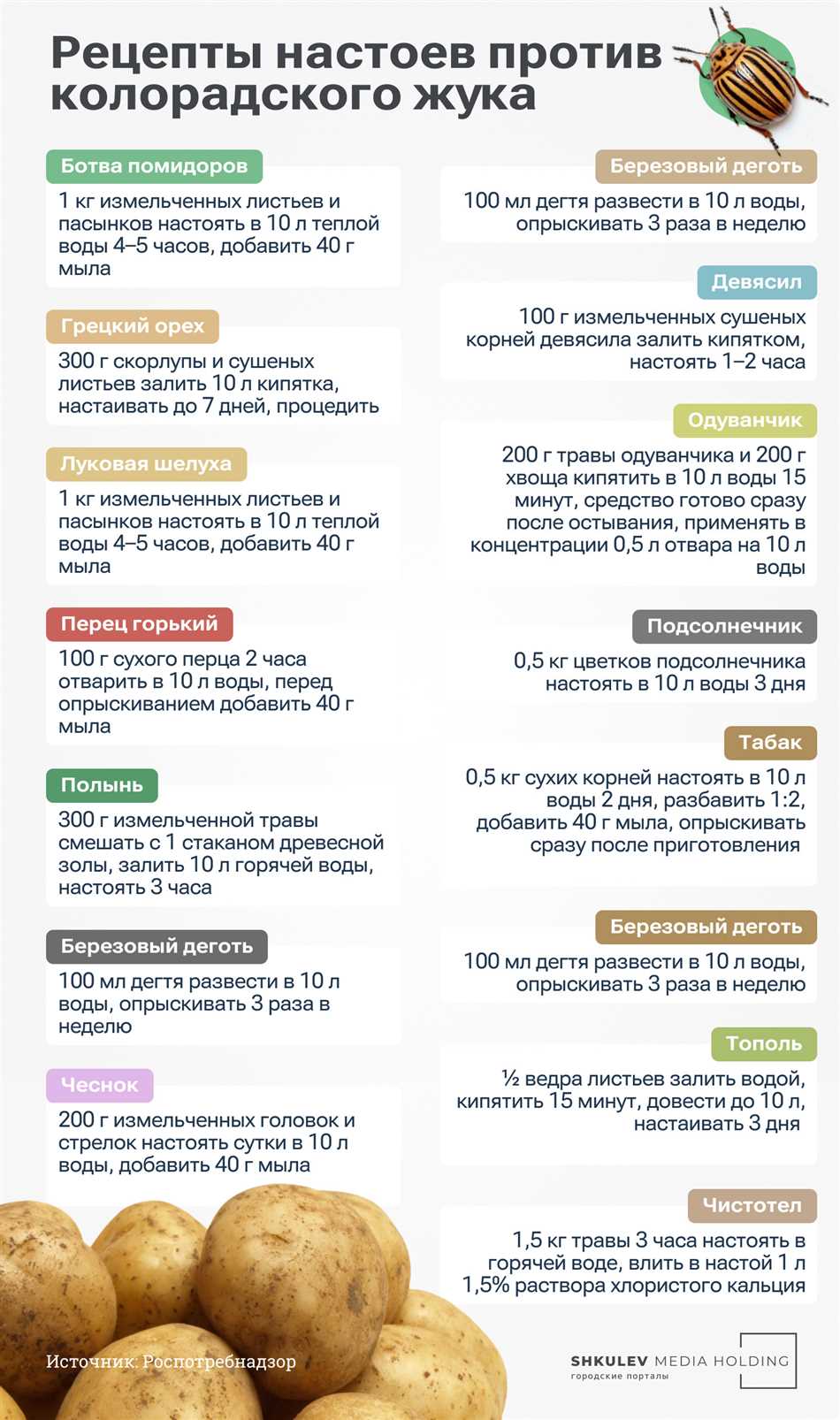 Сроки полного уничтожения колорадских жуков при использовании Коррадо