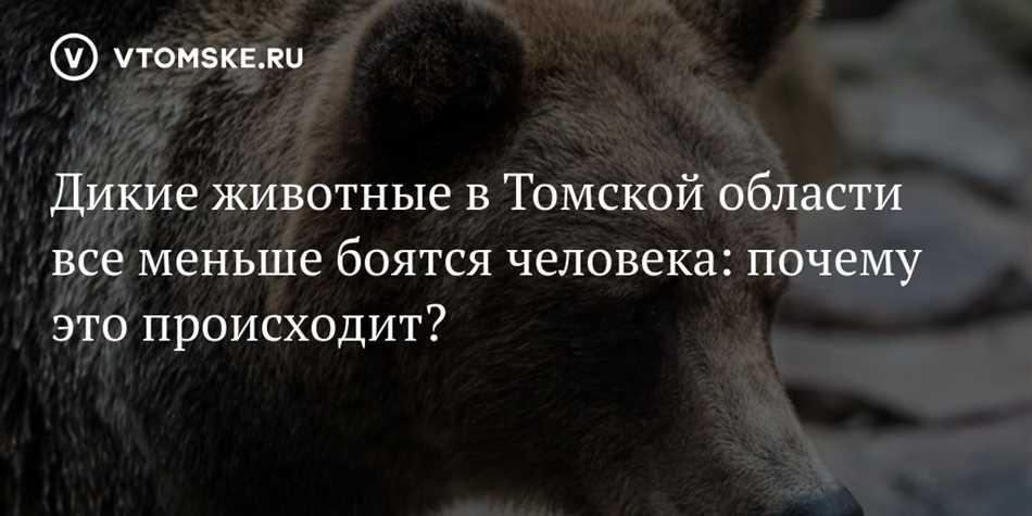 Исследование и наука