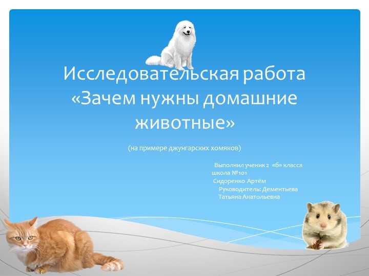 Зачем нужны животные?