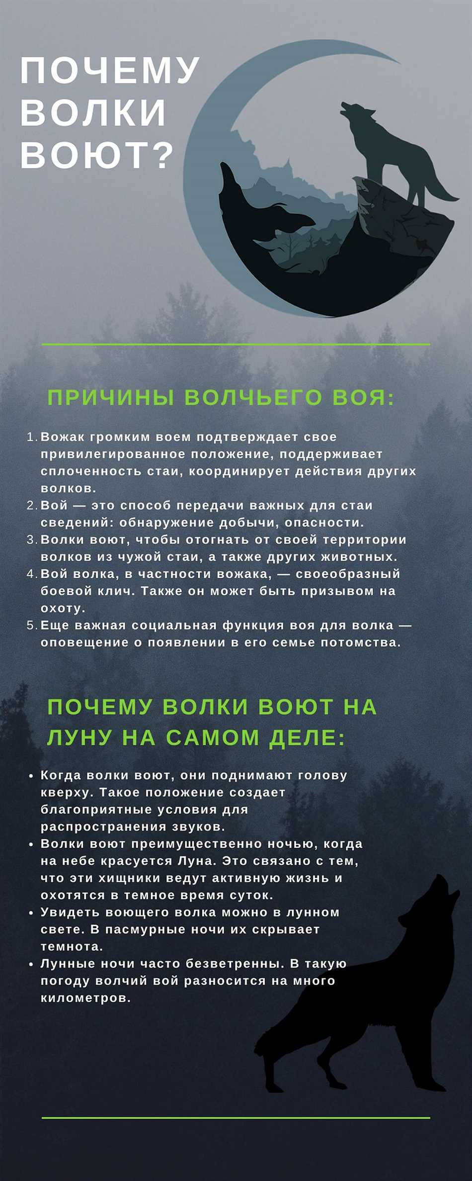Виды волчьих вой и их значения